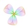 Rose curve Icon